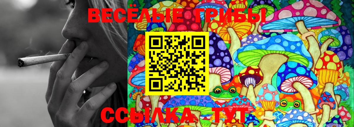 Люберцы  Галлюциногенные грибы Psilocybine cubensis  Вход с VPN 